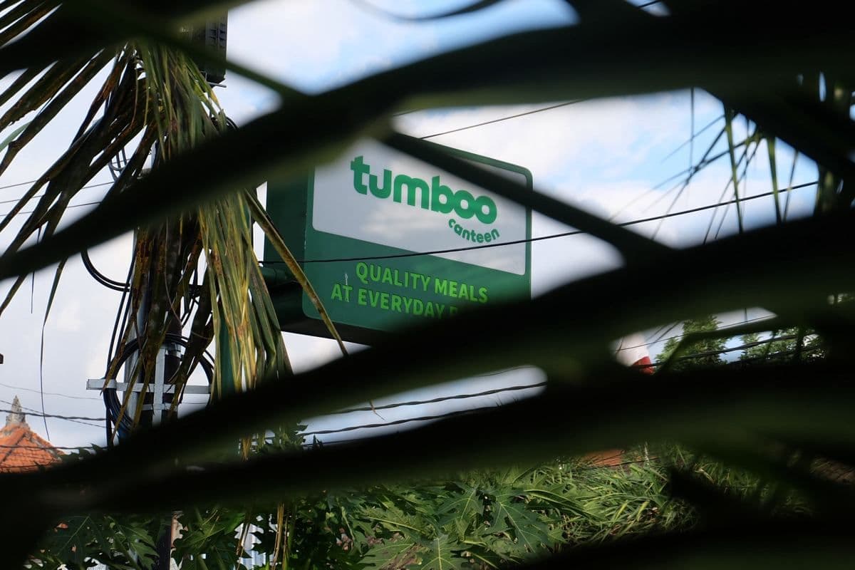 Tumboo sign seen through palm leaves